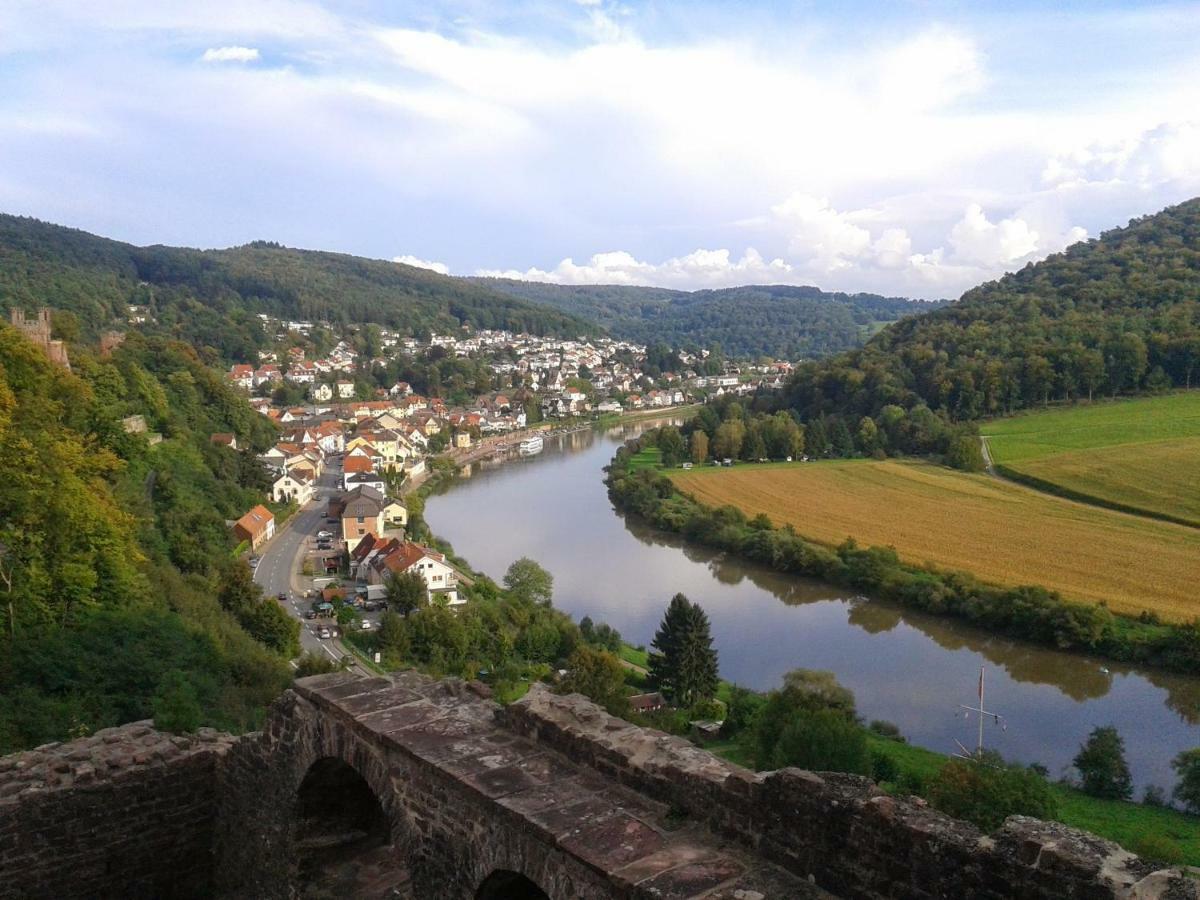 Fewo Am Neckarsteig Некарщайнах Екстериор снимка