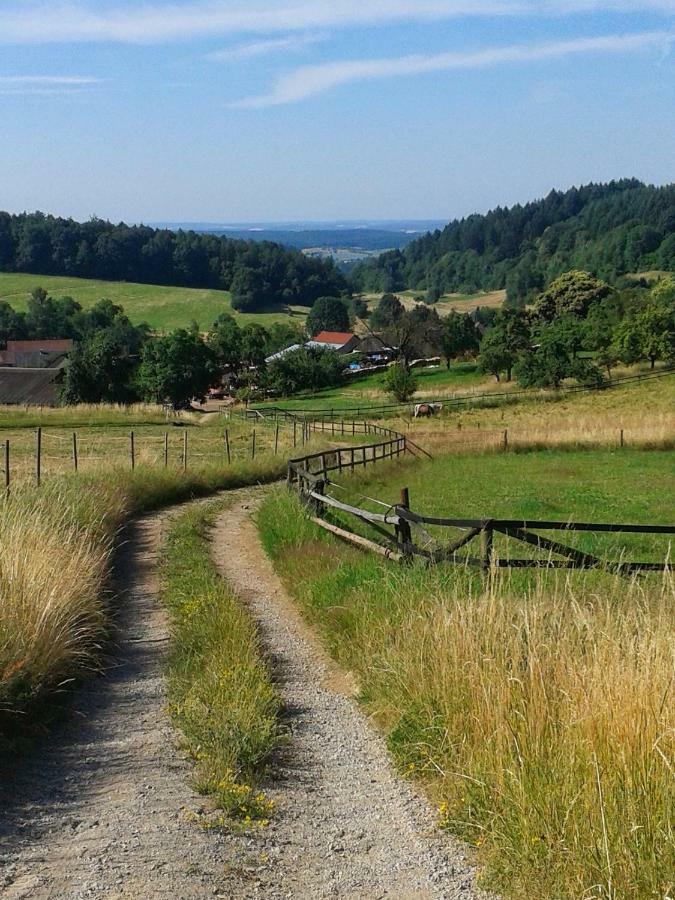 Fewo Am Neckarsteig Некарщайнах Екстериор снимка
