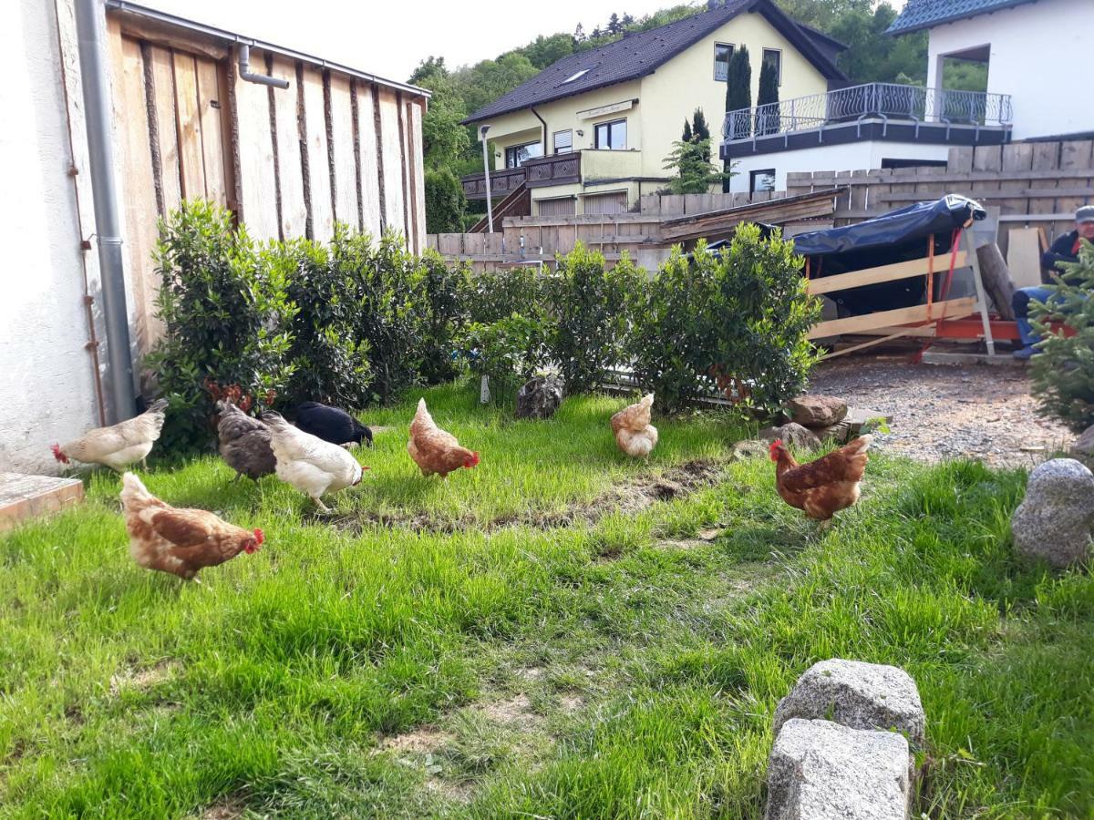 Fewo Am Neckarsteig Некарщайнах Екстериор снимка